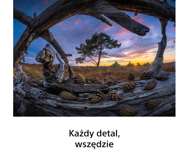 Sony FE 8–14mm f/3.5 Fisheye G - 1596375 - zdjęcie 2